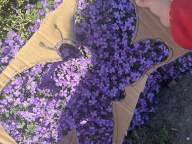 Blomster